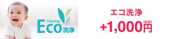 エコ洗浄