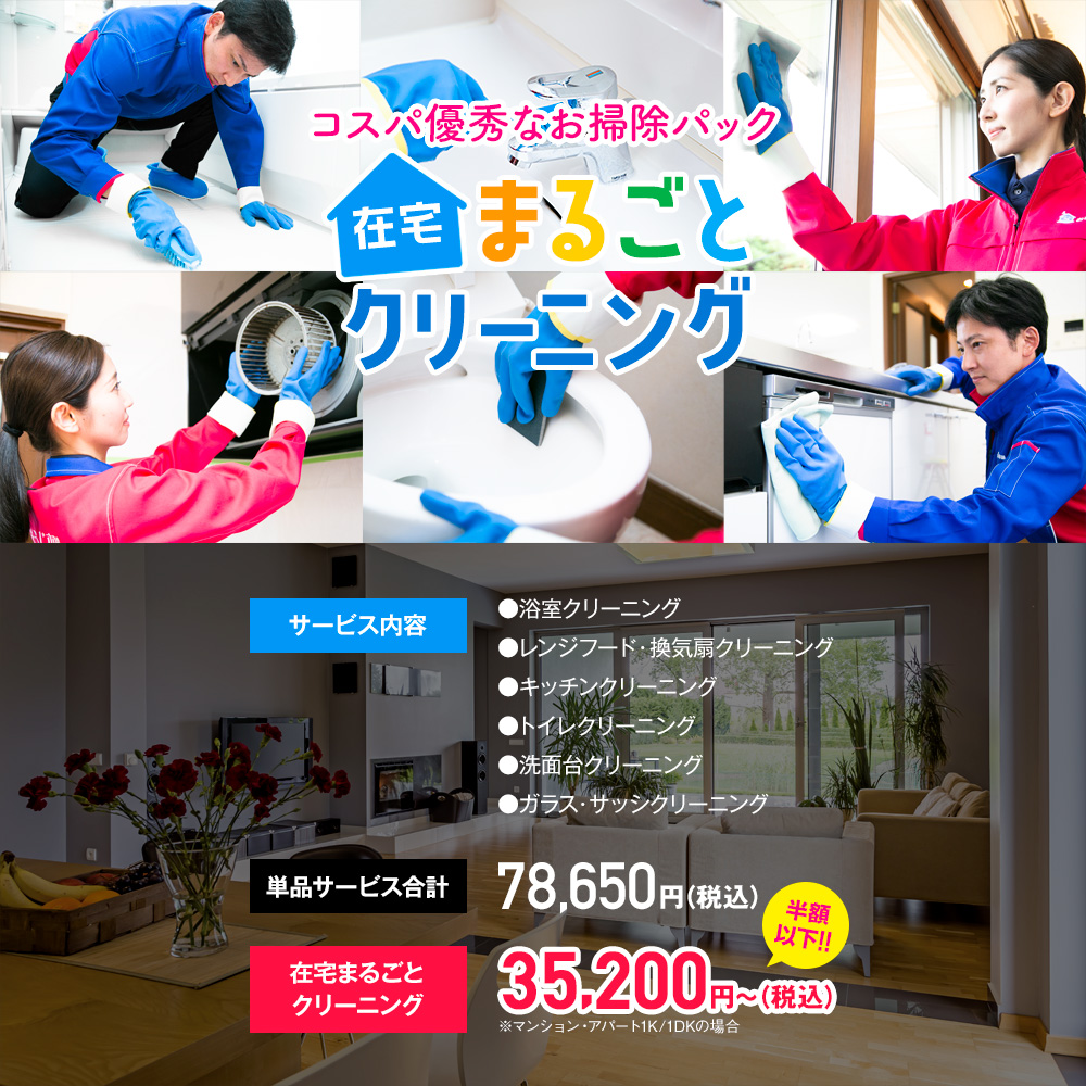 浴室(風呂釜)の追い焚き配管除菌クリーニング