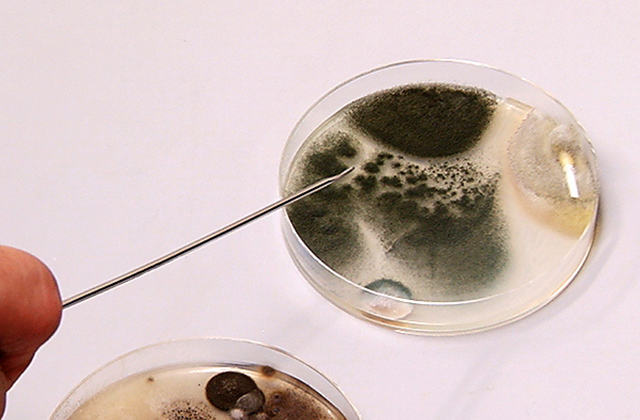 誰が危険にさらされているのでしょうか?